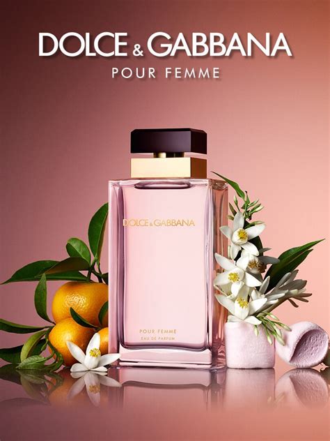 fame dolce gabbana|dolce gabbana pour femme.